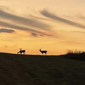 Meet your Posher, Slayton